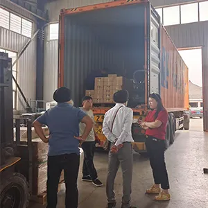 Nos partenaires visitent notre usine